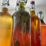 kursus i fermentering, kombucha. Tarmflora og velvære